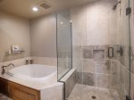 Master Bathroom Shower & Bathtub 